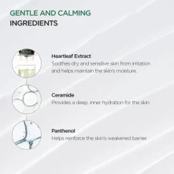 Discount Heartleaf 70% Intense Calming Cream Korean Skincare|Nachtcreme