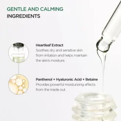 Sale Heartleaf 80% Moisture Soothing Ampoule Korean Skincare|Ampoules
