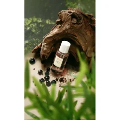 Outlet Arts & Odeurs Souffle Tropical Extrait de Parfum Unisex Parfum