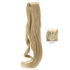 Online Di Biase Ponytail Straight 70cm Hair Extensions
