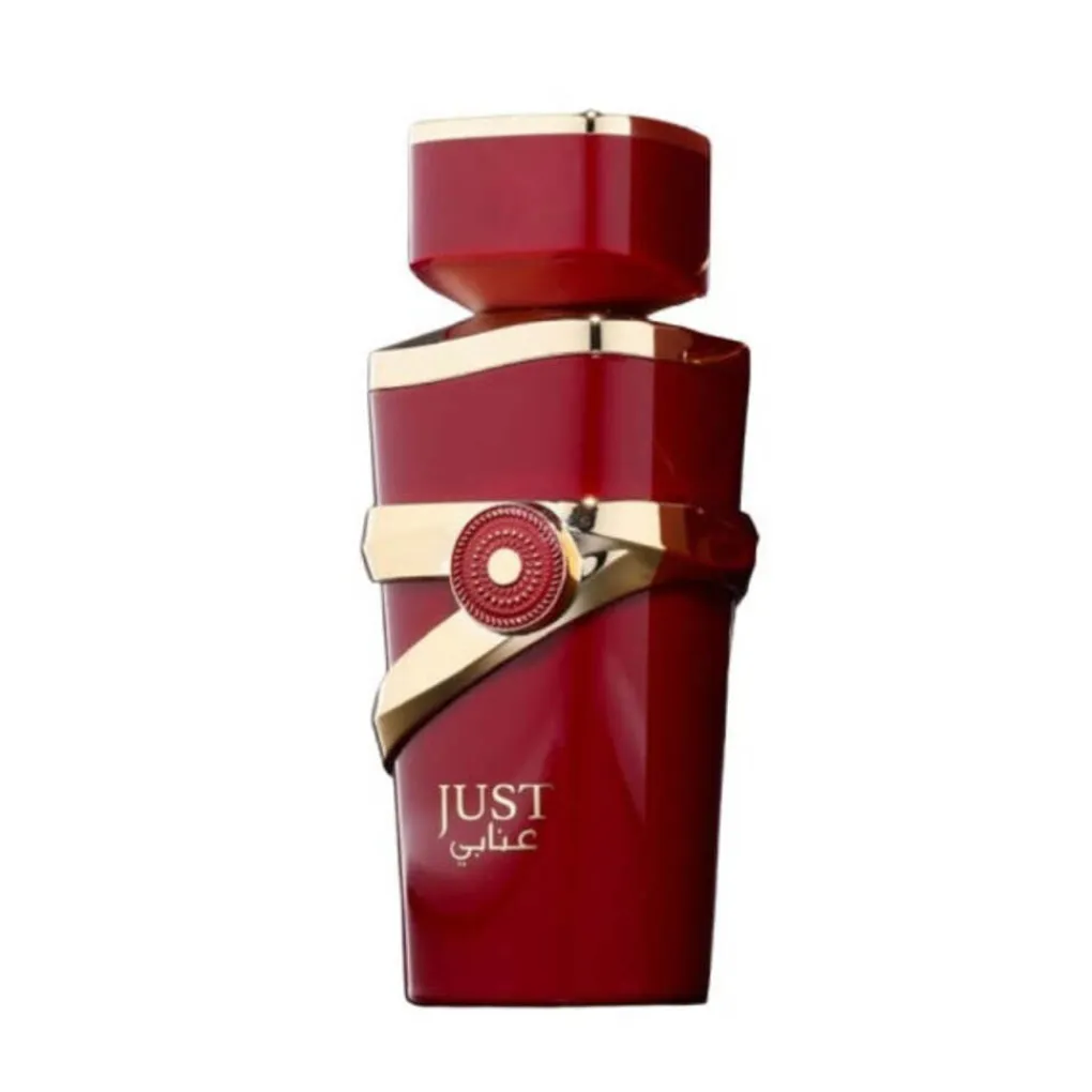 Clearance Fragrance World Just Anabi Eau de Parfum Unisex Parfum
