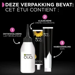 Best Garnier 6.0 Donkerblond Permanente Haarkleuring Haarverf