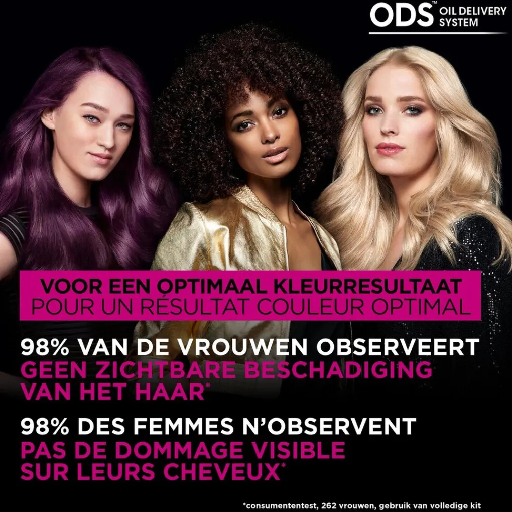 Best Garnier 6.0 Donkerblond Permanente Haarkleuring Haarverf