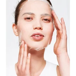 Outlet Garnier SkinActive Hydra Bomb Tissuemasker Gezichtsmaskers