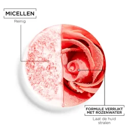 Best Garnier SkinActive Micellair Reinigingswater met Rozenwater Gezichtsreiniging