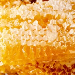 New SPF25 Original Honey Infused Lip Balm Lippenbalsem