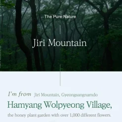 New Honey Serum Korean Skincare|Serum