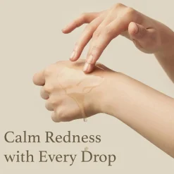 Best Mugwort Essence Korean Skincare|Essence