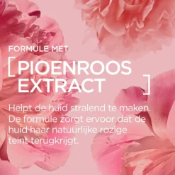 Best L'Oréal Paris Age Perfect Golden Age SPF20 Versterkende Dagcrème Dagcreme