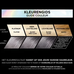 Sale L'Oréal Paris Préférence Les Vivids 9.112 Smokey Grey Permanente Haarkleuring Haarverf