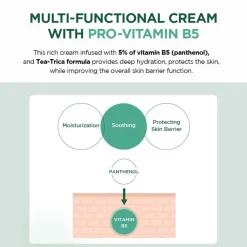 Hot Madagascar Centella Tea-Trica B5 Cream Korean Skincare|Dagcreme