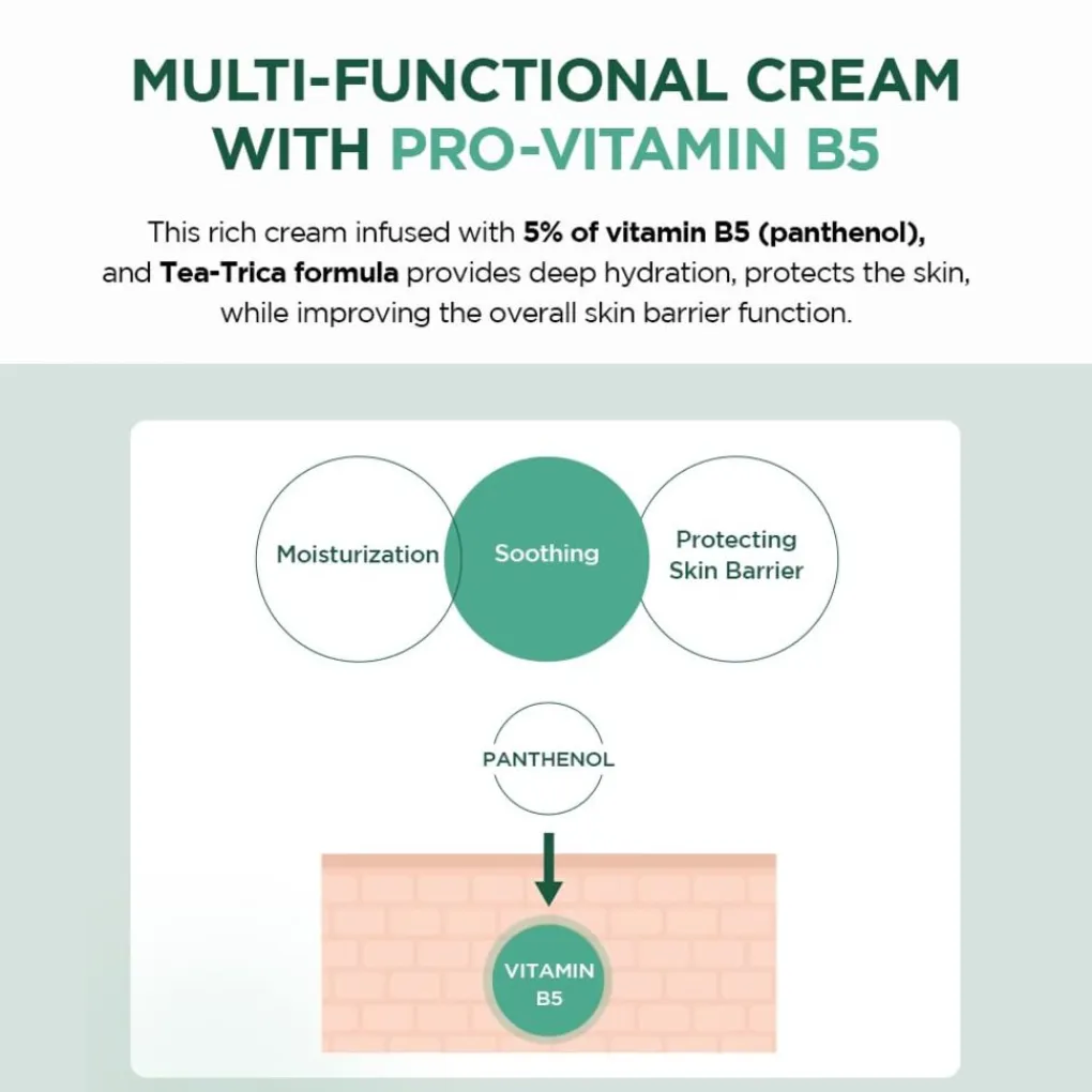 Hot Madagascar Centella Tea-Trica B5 Cream Korean Skincare|Dagcreme