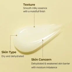 New SOLID-IN All Day Essence Korean Skincare|Essence