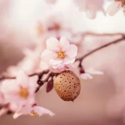 Hot Sensitive Hydraterende Gezichtscrème Dagcreme